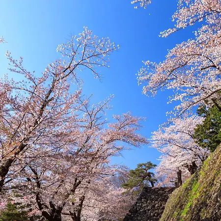 Рёкан Nunohiki Onsen 3*